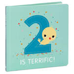 Hallmark Gifts - Two Is Terrific! Birthday Book