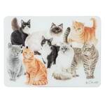 Ashdene Purrrfect Moments - Surface Protector