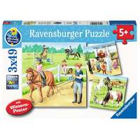 Ravensburger Puzzle 3 x 49pc - A Day at the Stables