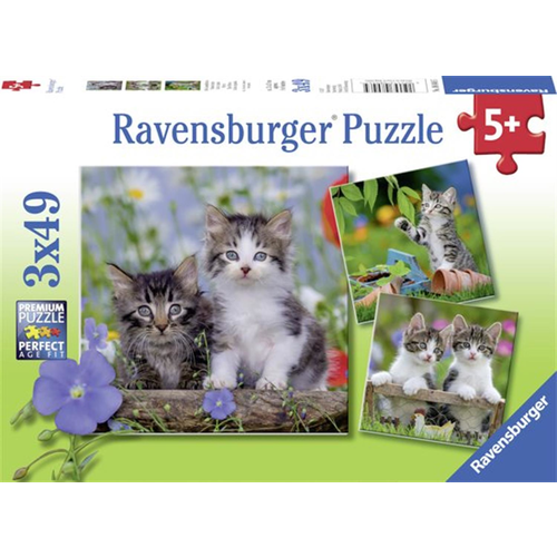 Ravensburger Puzzle 3 x 49pc - Kittens