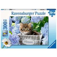 Ravensburger Puzzle 300pc XXL - Tortoiseshell Kitty