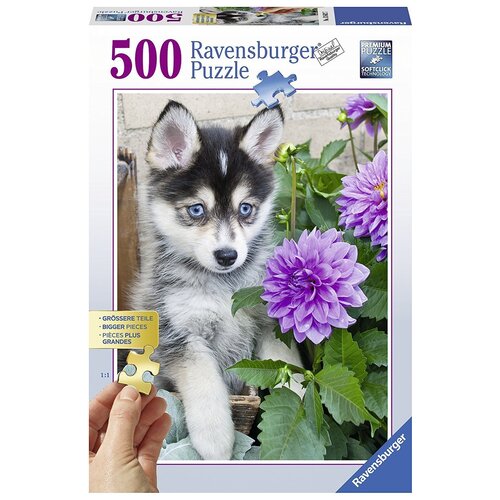 Ravensburger Puzzle 500pc - Cute Husky