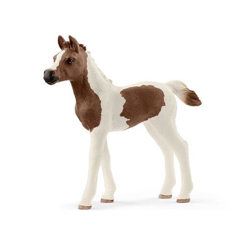 Schleich Horse Club - Pintabian Foal