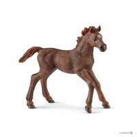 Schleich Horse Club - English Thoroughbred Foal