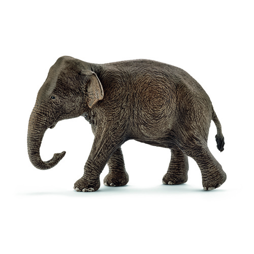 Schleich Wild Life - Asian elephant female