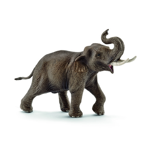 Schleich Wild Life - Asian elephant male