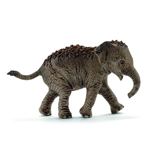 Schleich Wild Life - Asian elephant calf