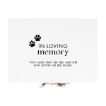 Splosh Sympathy - Pet In Loving Memory Keepsake Box