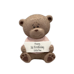 Teddy Moments Bear - Happy 1st Birthday Little One Pink